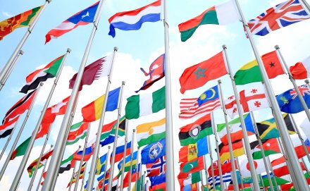 Where the Trade Winds Blow: Signals from the U.S.–Vietnam Deal