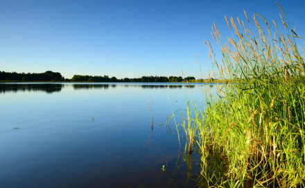 <em>Sackett v. EPA</em>: The Scope of Clean Water Act Jurisdiction over Wetlands and Implications