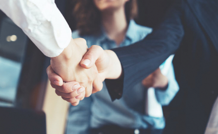 Young business people shaking hands in the office