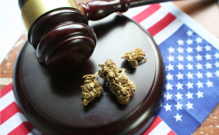 Cannabis with a Gavel and an American Flag in the Background