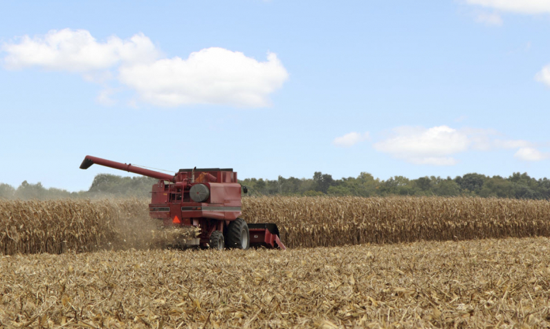 A combine driving and harvesting hay in a field