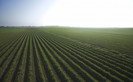 Sustainable Marketing – Greenwashing or Effective Strategy