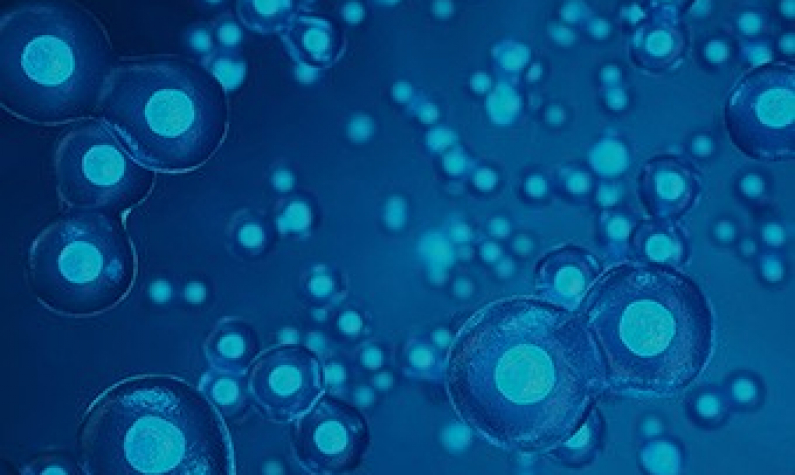 Close up of cells on a blue background
