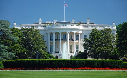 Noncompetes in Employment—the Trump Administration Jumps Into the Fray with Both Feet