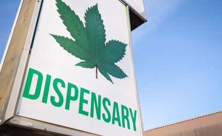 The Data Behind the Dispensary: Why Cannabis Cybersecurity and Consumer Privacy Matter More Than Ever
